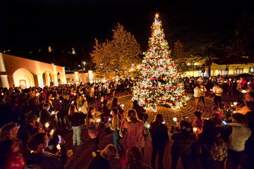 crowd around a lit christmas tree at night
